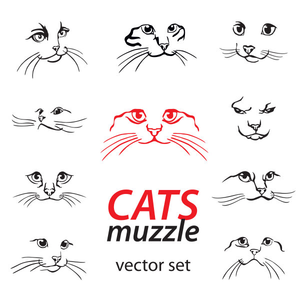 抽象猫logo