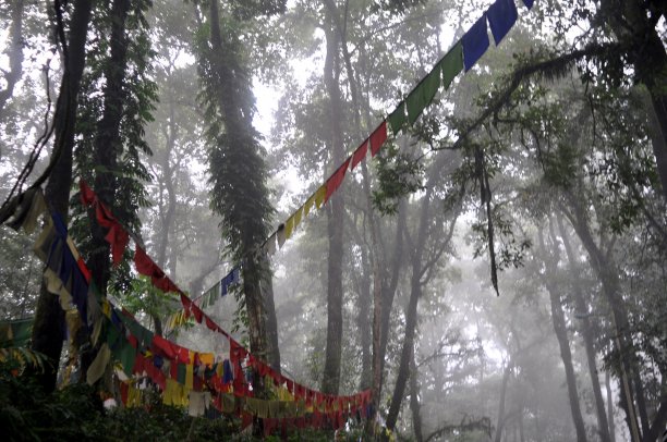 山上寺庙景区