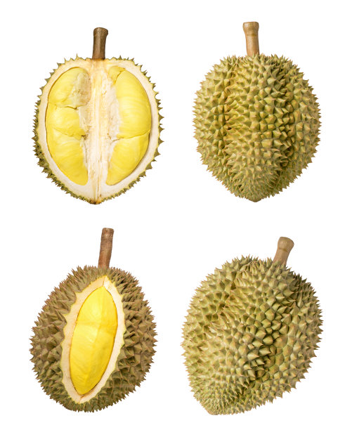 durian