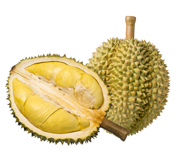 durian
