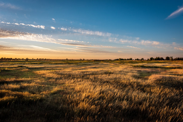 秋季湿地草原