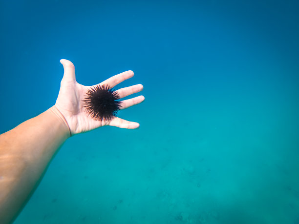 海底生物