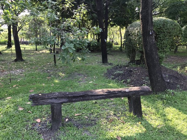 公园木凳子