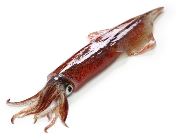 ika