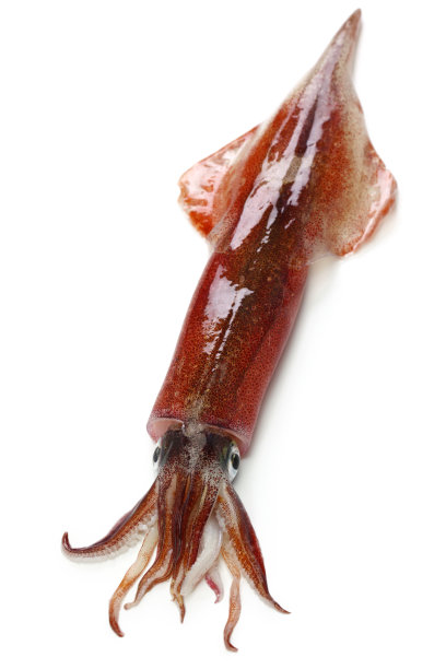 ika