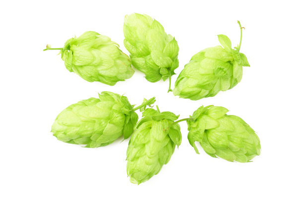 bitter