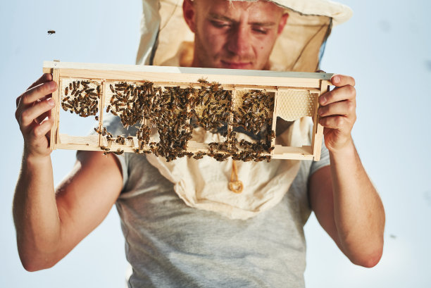 beekeeper
