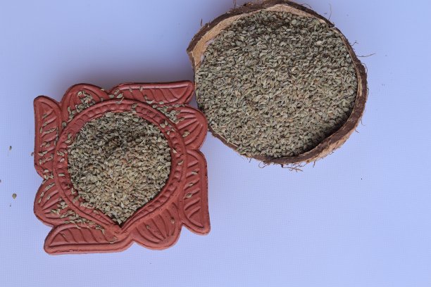 ayurveda