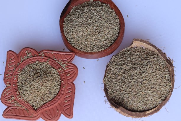 ayurveda