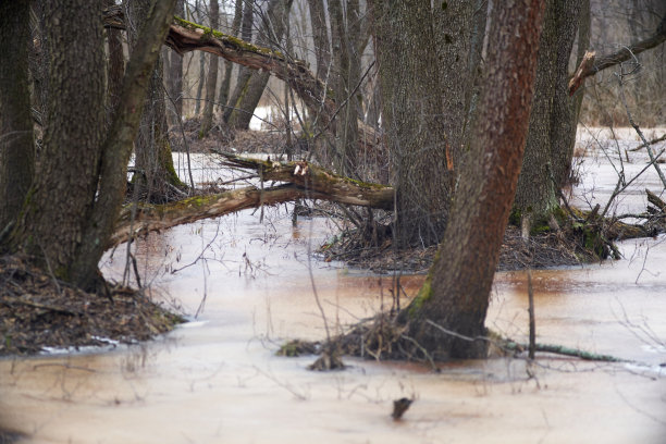 backwater