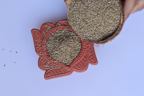 ayurveda
