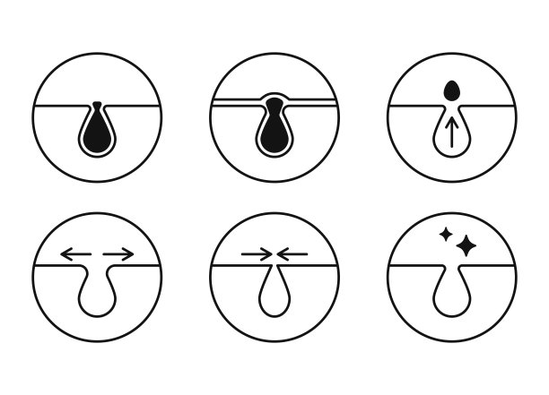 pores