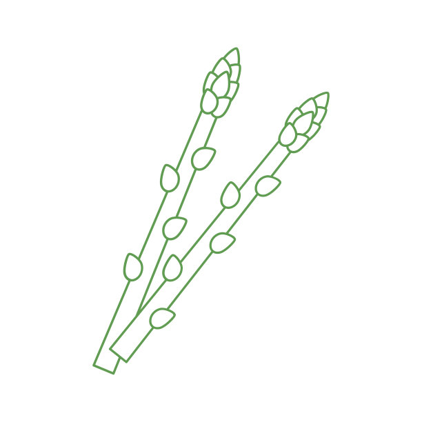 asparagus