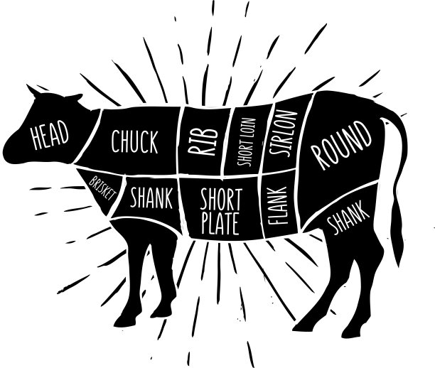 牛肉分割图