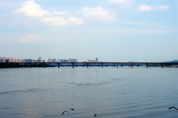 金南大桥