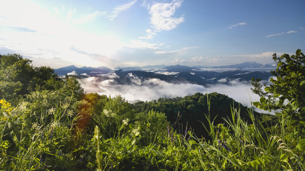 晨光中的山野