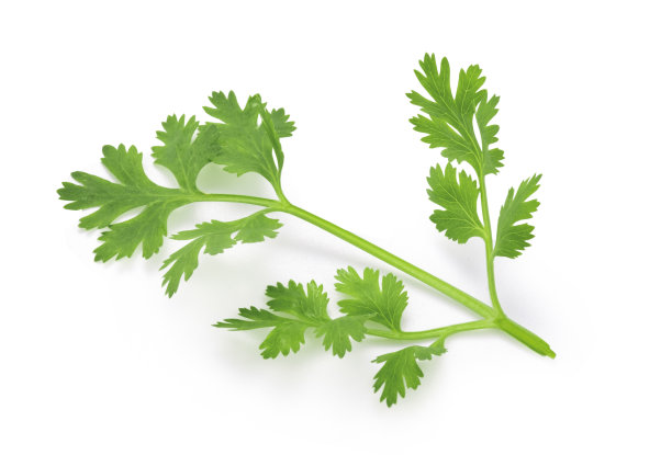 savory