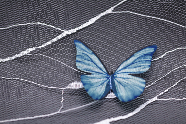 蓝白花卉蝴蝶图案素材