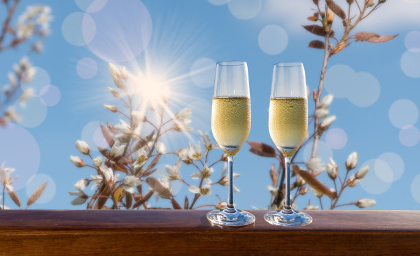 华丽绽放财富中心