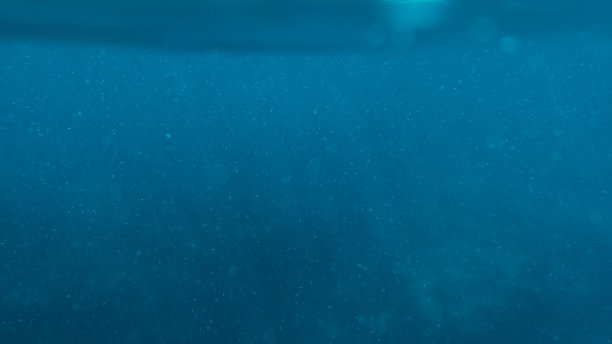 海洋潜水素材
