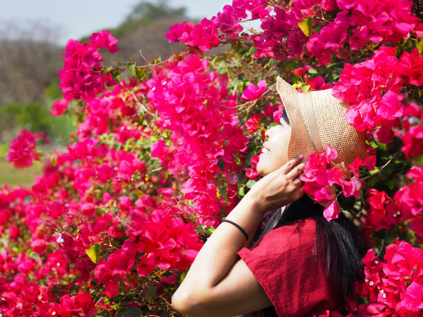 花纹美女头像