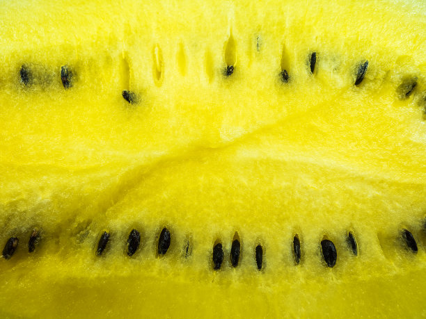 水果 背景图 西瓜