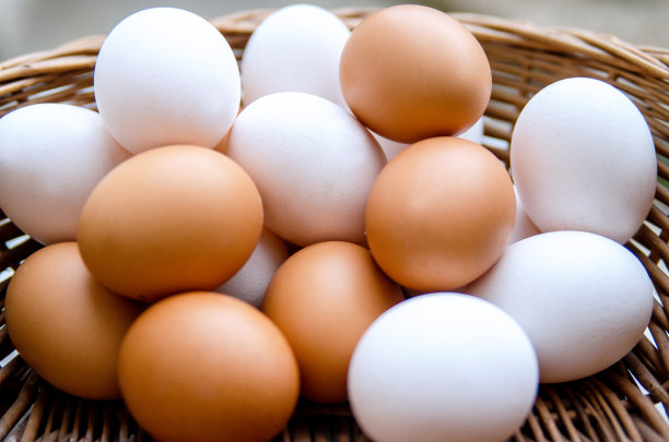 卵,蛋白质,肤色