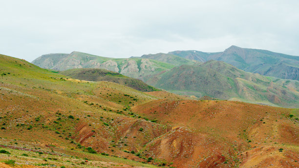 金色草地与山脉背景