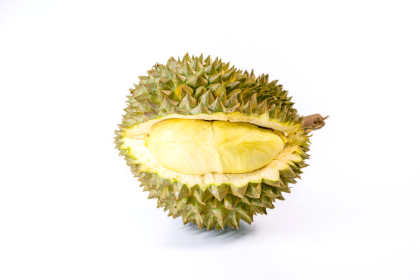板栗果