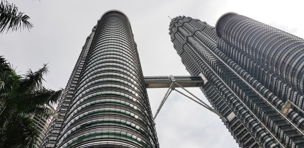 petronas