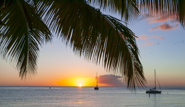 日落加勒比海