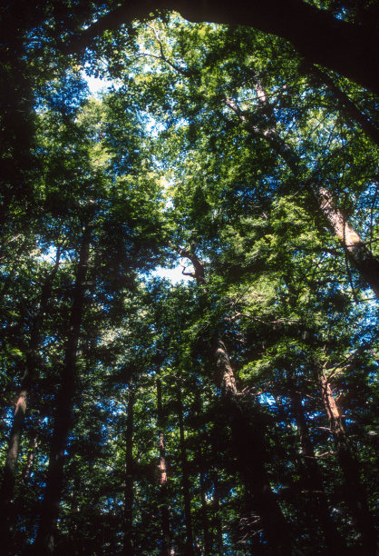 2003