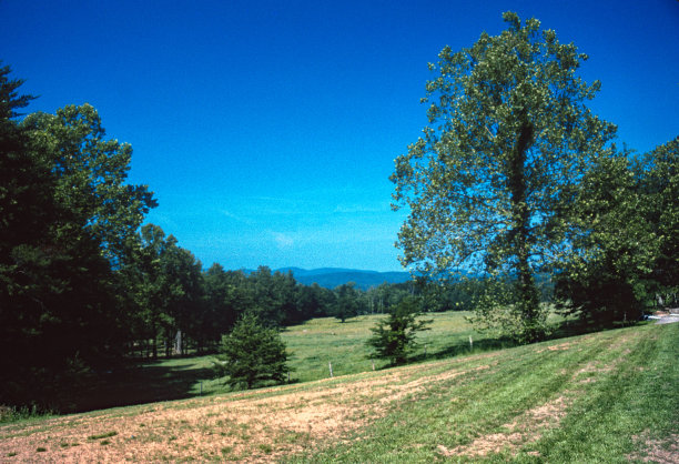 2003