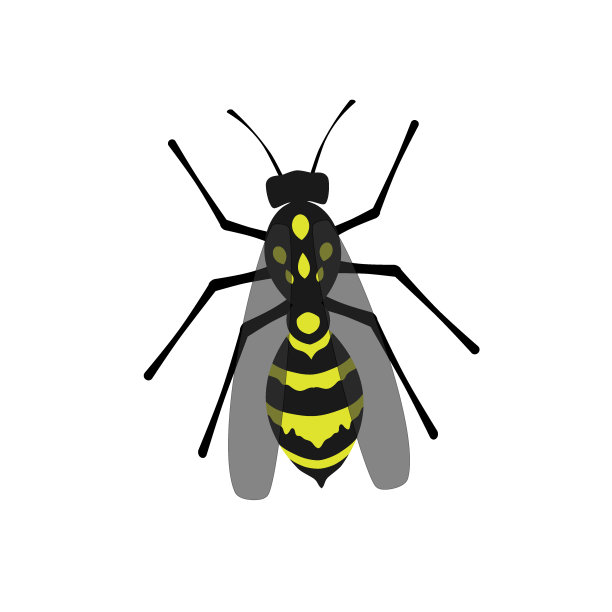 小蜜蜂logo昆虫标志