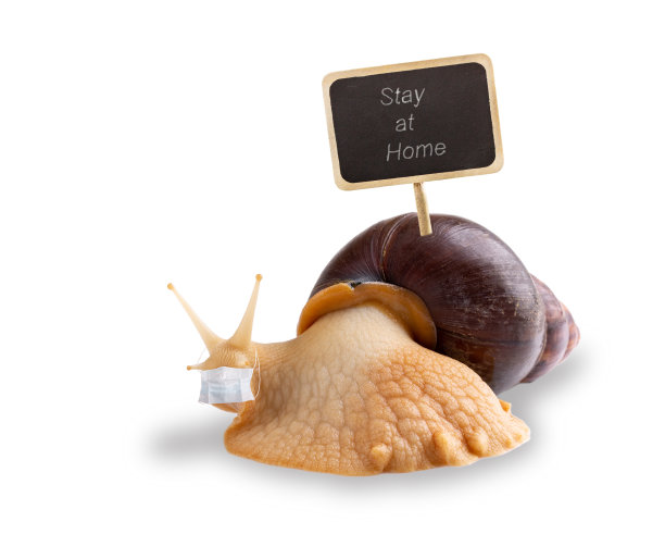 无脊椎动物标志