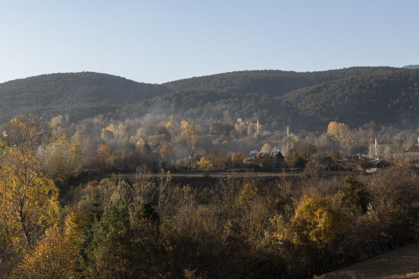 bolu