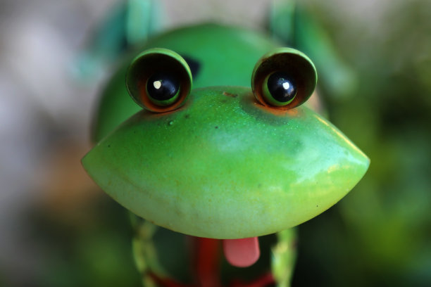 青蛙,动物雕塑