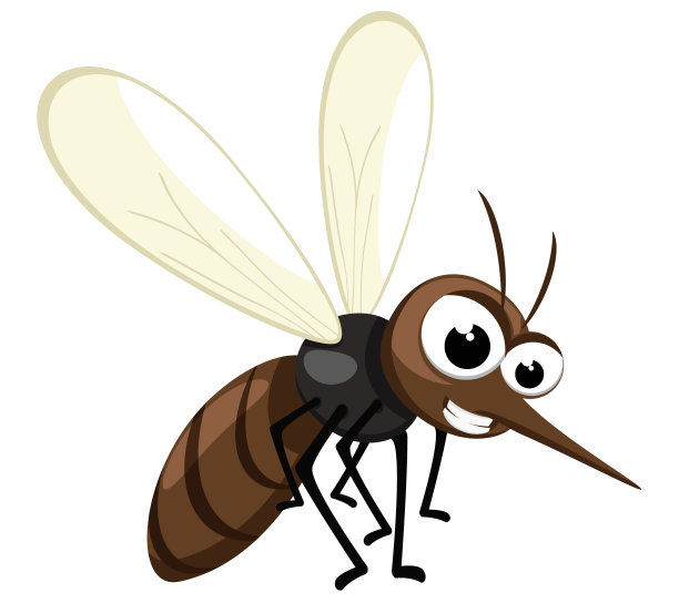 mosquito