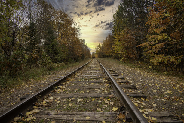 秋季森林铁路