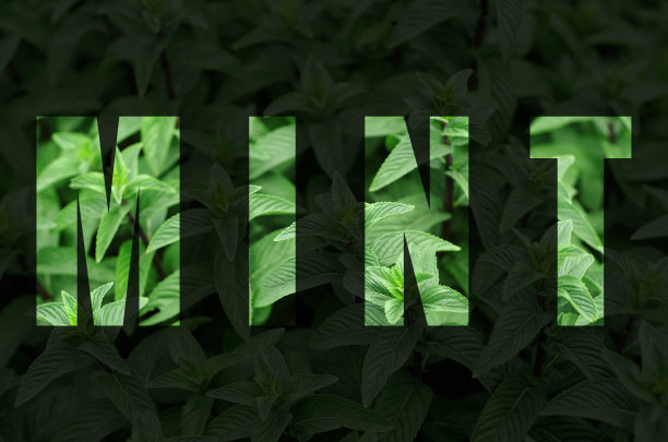 peppermint