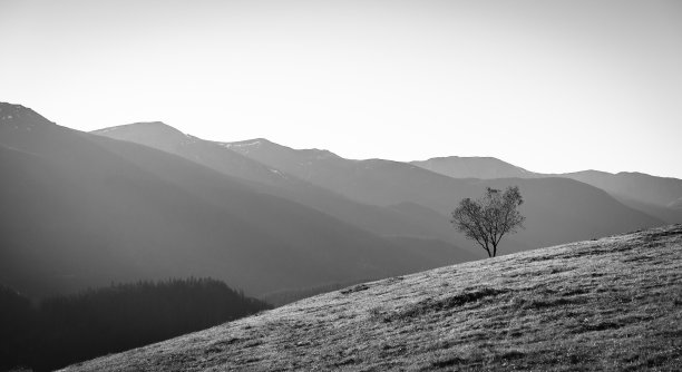 风景 灰度图