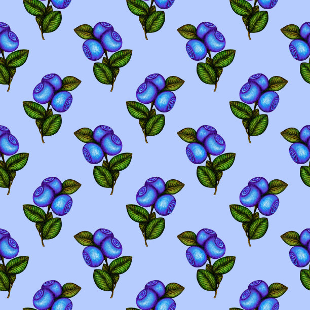 蓝莓画