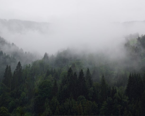 雾中的山林秋色