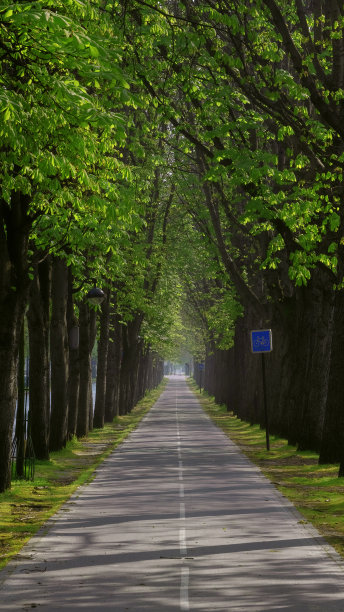 avenue