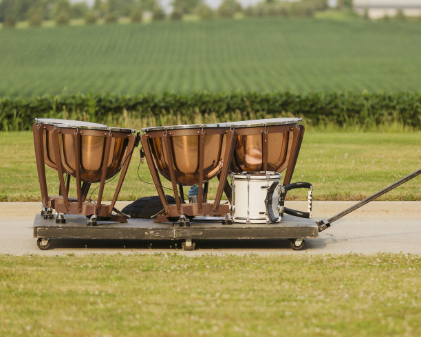 timbale