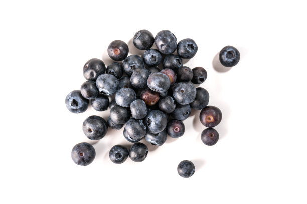 黑莓蓝莓树莓组合