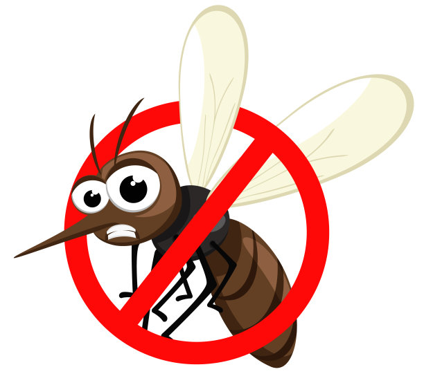 mosquito