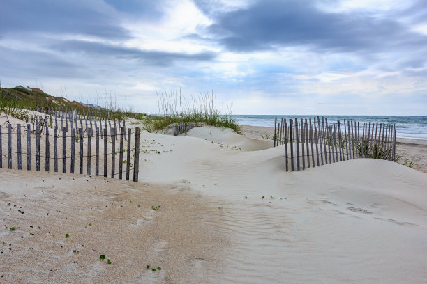 沙滩,篱笆