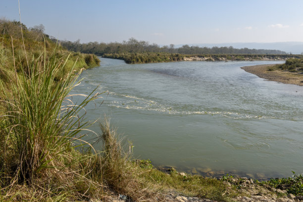 chitwan