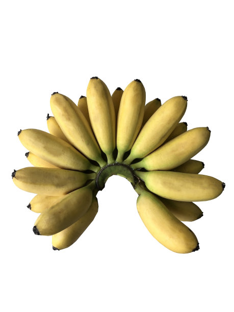 香蕉摄影图片